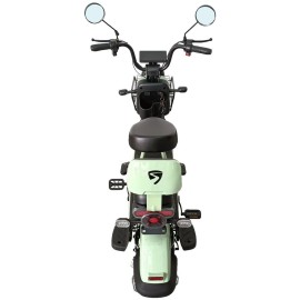 Велосипед з електромотором SPARK GLIDE 14`` 60V/500W/20Ah зелений